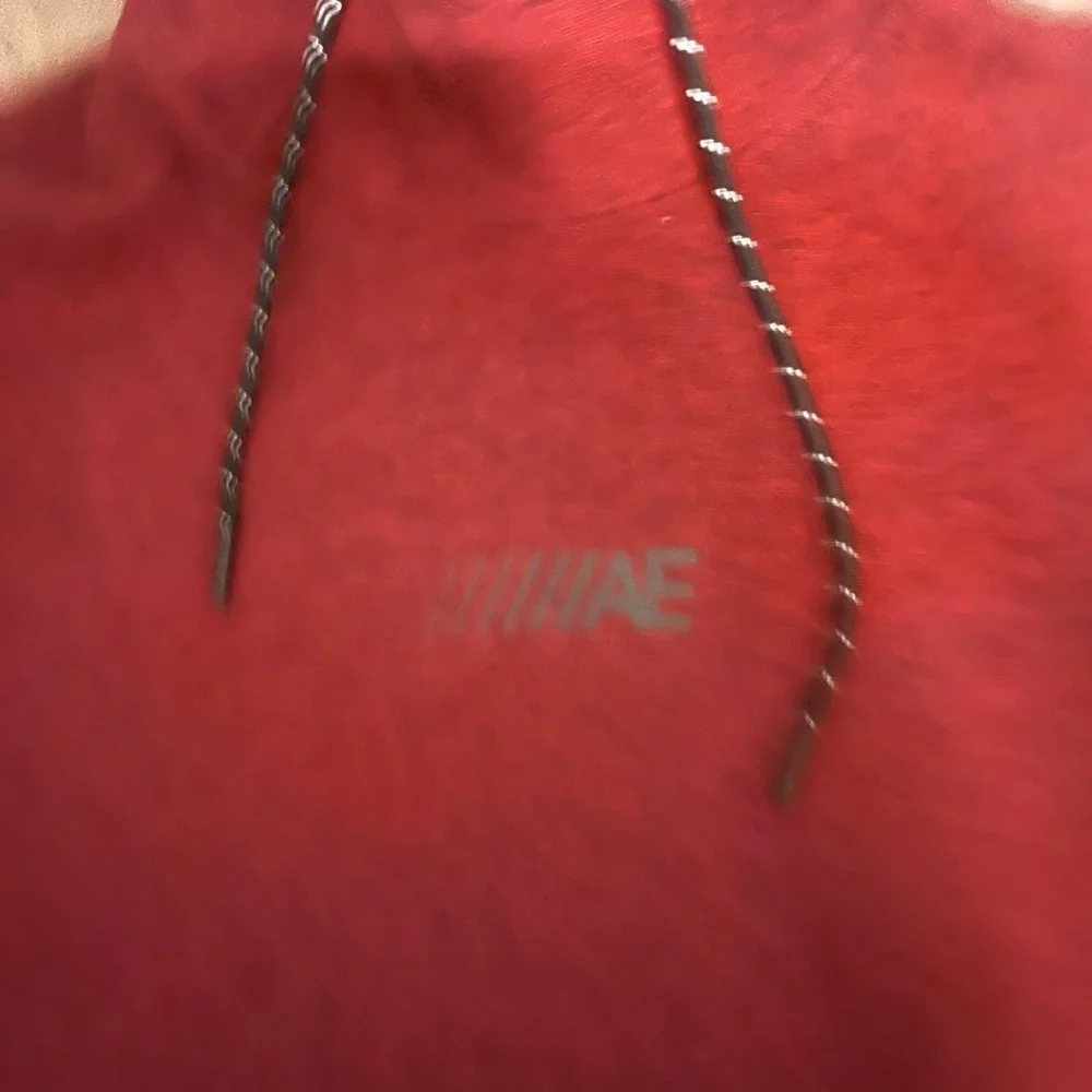 American Eagle Outfitters Maroon Hoodie